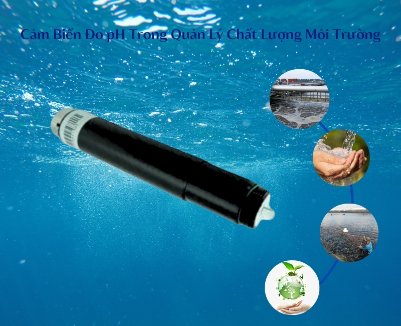 Ứng Dụng Của Cảm Biến Đo pH Trong Quản Lý Môi Trường